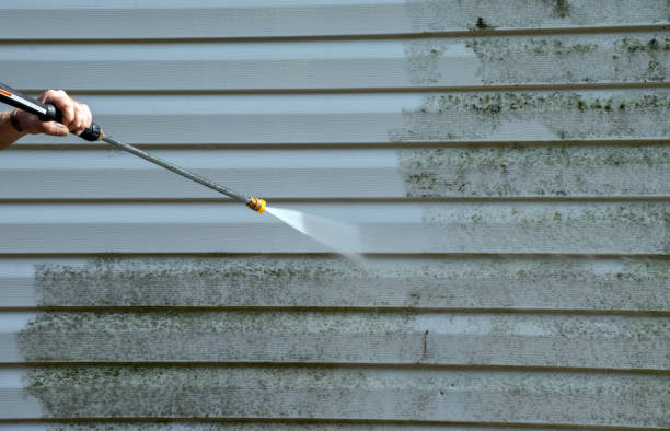 Best Best Pressure Washing Companies  in South Henderson, NC